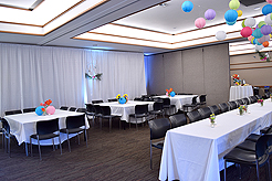 SPRING HAS SPRUNG BAT MITZVAH